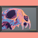 Framed Prints