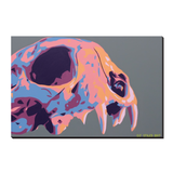 Calabera Pricing