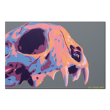 Calabera Pricing