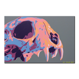 Calabera Pricing