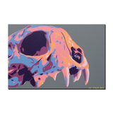 Calabera Pricing